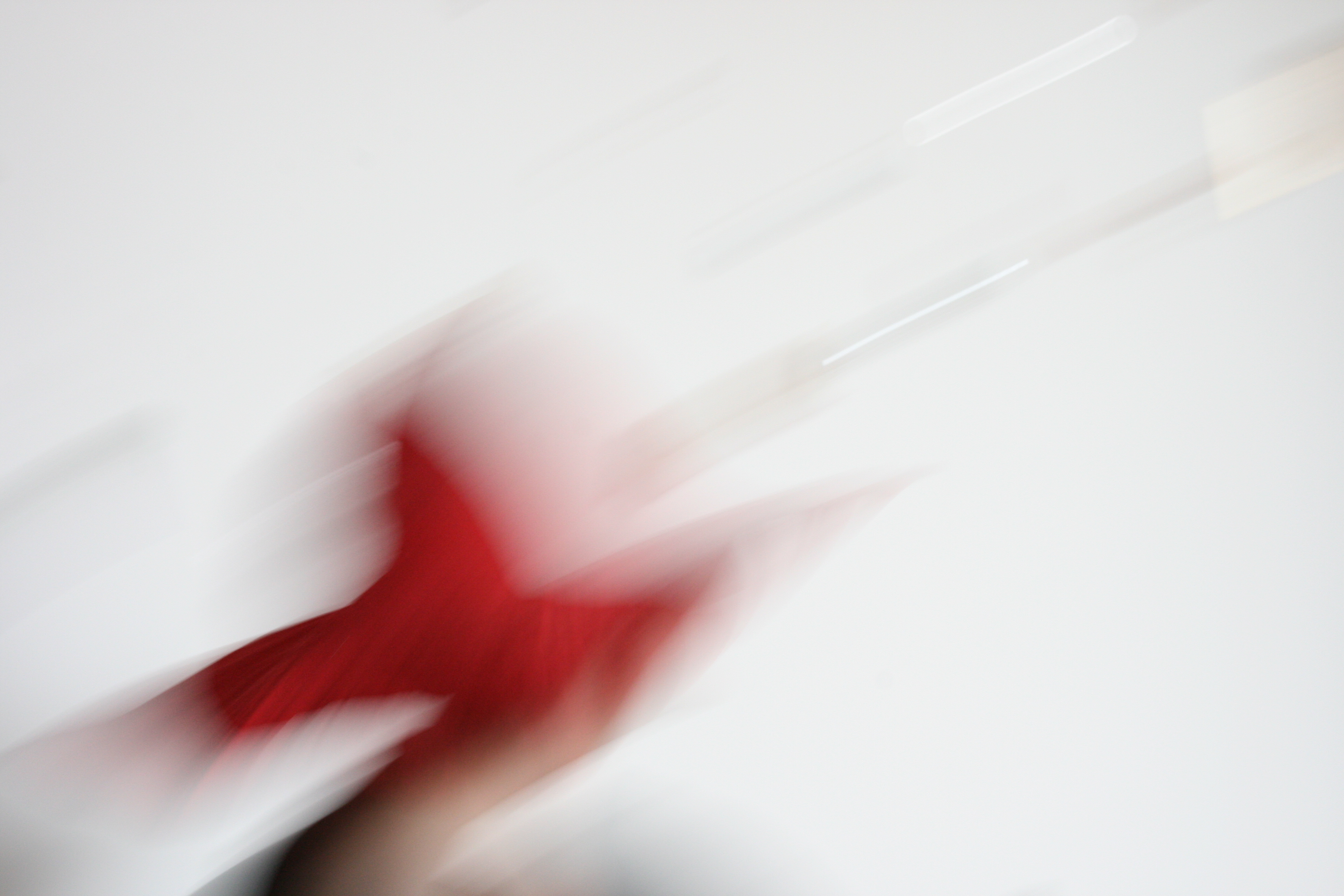 8 months of questions; and then some.